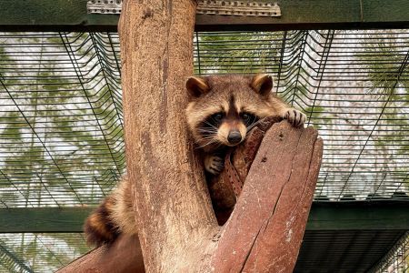 Корпус ТЕРЕМ