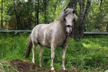 Корпус ТЕРЕМ