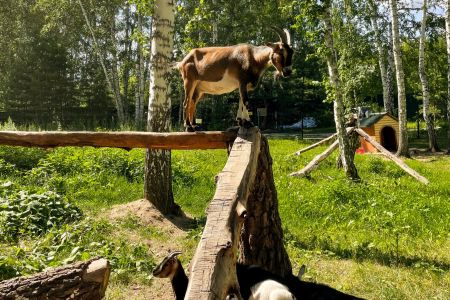 Корпус ТЕРЕМ