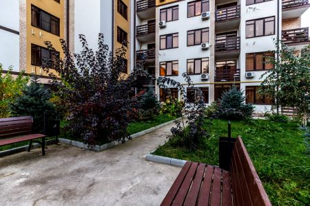 Внешний вид