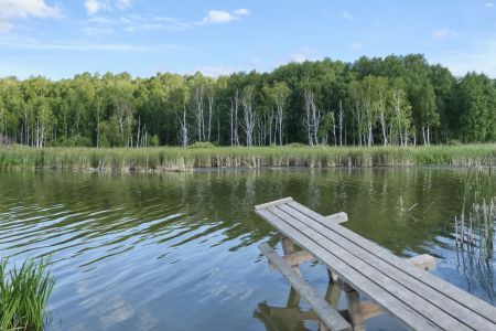Русский двор. Внешний вид