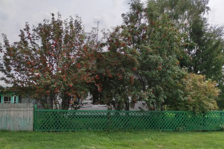 Дом Сельский (гостевой)