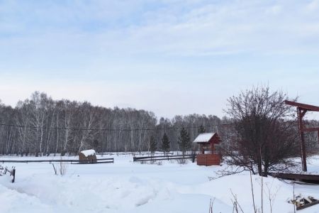 Русский двор. Внешний вид