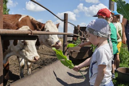 Русский двор. Внешний вид