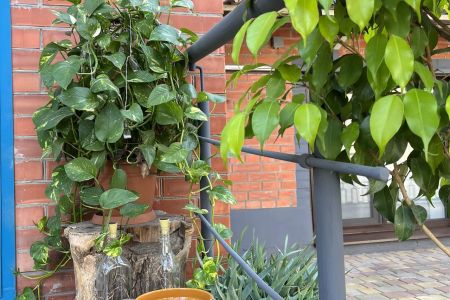 Люкс 3-местный (с гидромассажной ванной)