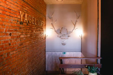 Внешний вид