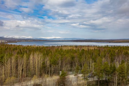 Внешний вид