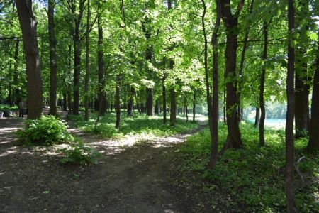 Внешний вид