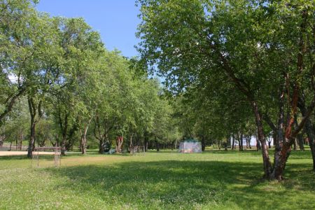 Внешний вид