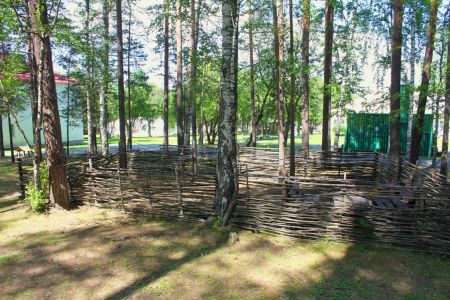 Внешний вид