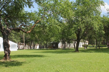 Внешний вид