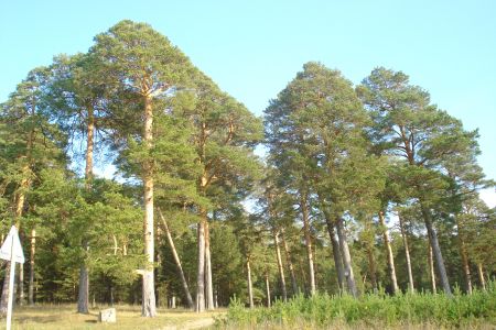 26.Relax island японский чилаут