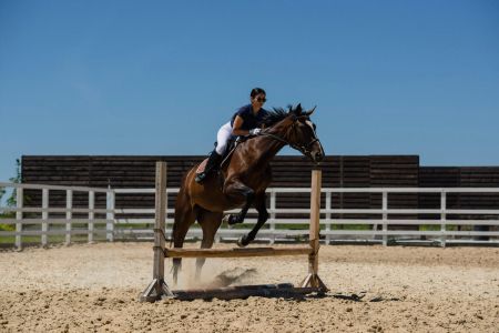 4-afa270fd798860df0874dfeb3a48bda8876ebd236464b894f1ca06f6b565ab8a