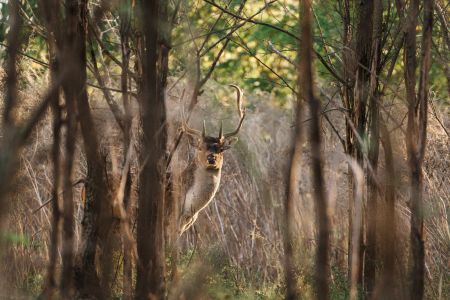 4-afa270fd798860df0874dfeb3a48bda8876ebd236464b894f1ca06f6b565ab8a