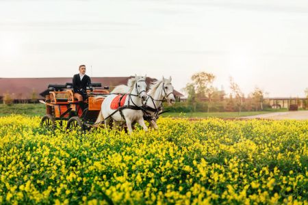 5-1c4d867c54fbdbdef6586f4c66030aebecfea4b9cf7469844d516a09d82693f4