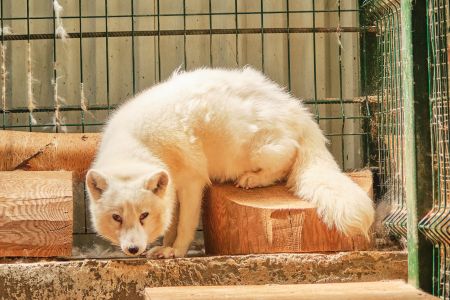 Территория