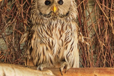 Территория