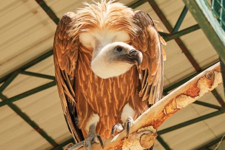 Территория