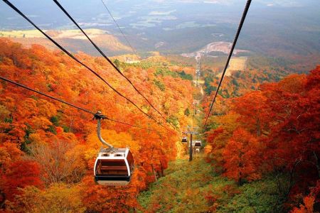 Красная поляна, природа