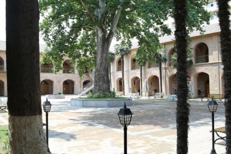 Внешний вид