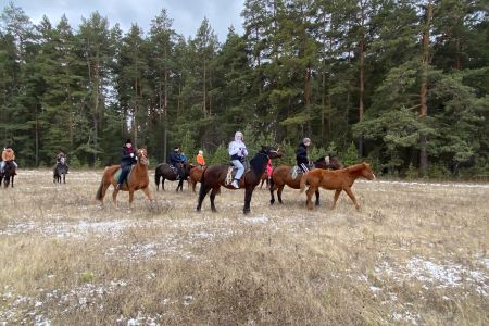 Арский камень