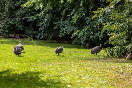 Эко отель Лель