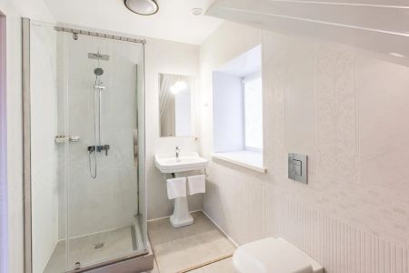 Люкс мансарда №5