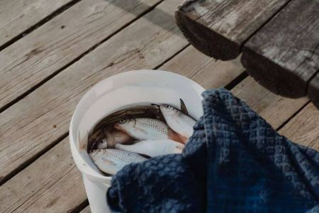 Территория