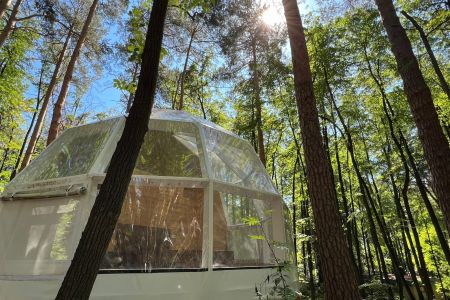 База Светлячок