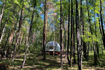 База Светлячок