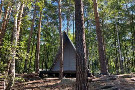 База Светлячок