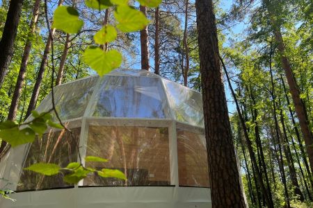 База Светлячок