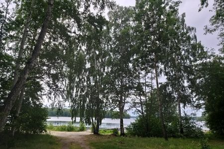 Светлячок. Плейхаус