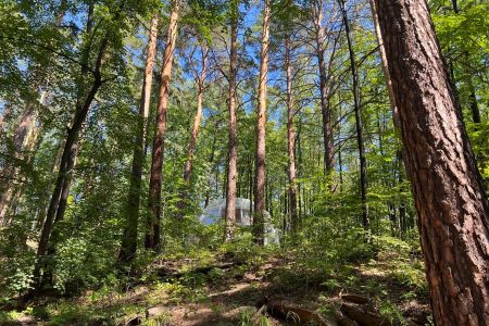 База Светлячок
