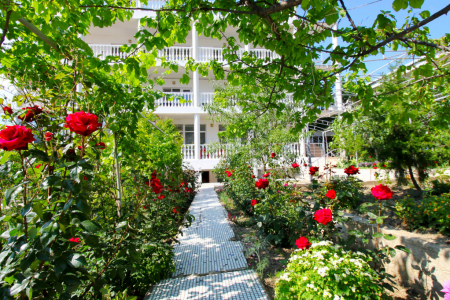 Территория