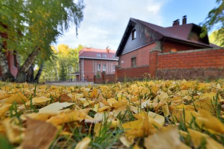 Лесная усадьба