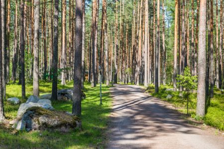 Коттедж 6-местный (№7)