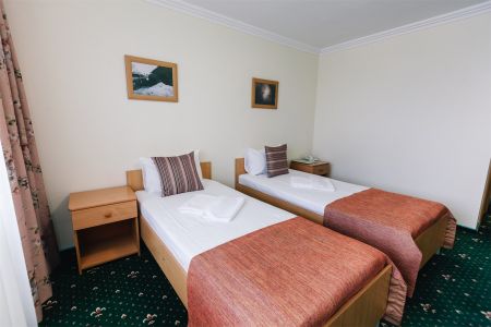 Стандарт 2-местный