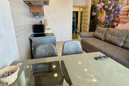 posutochnaja-kvartira-irkutsk-dalnevostochnaya-ulica-1283369064-1