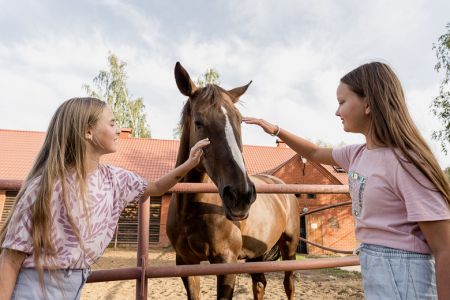 636519777121165766-6ef1c307-8773-4470-b625-8f2cf730372e