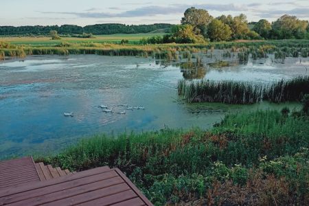 530d1db8a23c2f83ec6340a2f269f2c3_1050x600