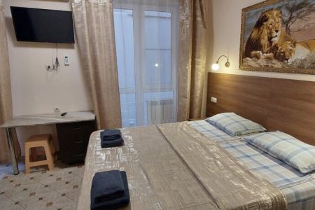 Стандартный 3-местный DBL (2)