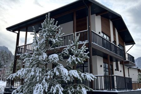 Клевер резорт