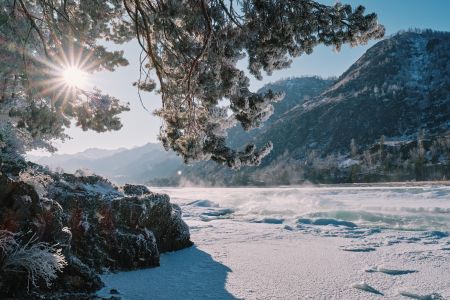 Клевер резорт