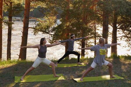 Территория