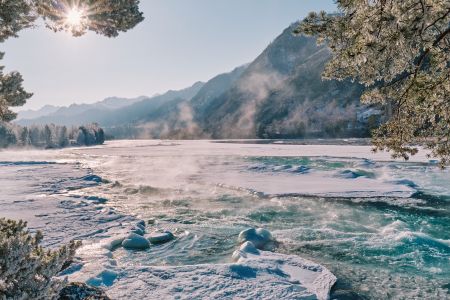 Клевер резорт