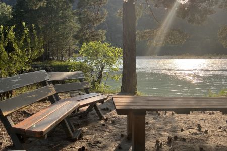 Территория