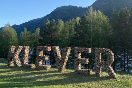 Клевер резорт