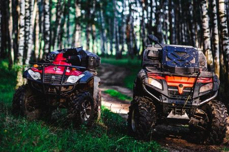 Территория отеля