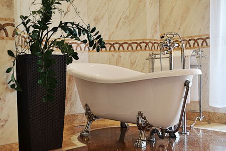 Полулюкс 2-местный (с ванной на львиных лапах)